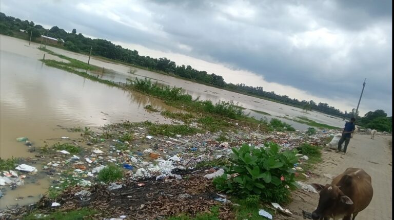 মানকাচৰ বজাৰ গাঁও পঞ্চায়তত SWM আঁচনিৰ শুভাৰম্ভ: পৰিৱেশ ৰক্ষাৰ স্বাৰ্থত ঘৰে ঘৰে আৱৰ্জনা সংগ্ৰহ